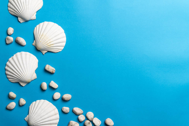 Photo rapprochée de coquillages blancs et de pierres isolés sur fond bleu, espace de copie
 - Photo, image