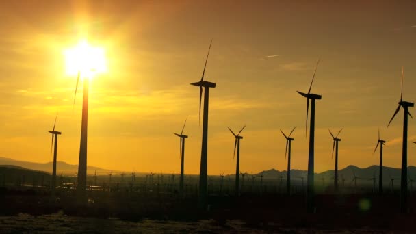 Parco eolico al tramonto - Filmati, video