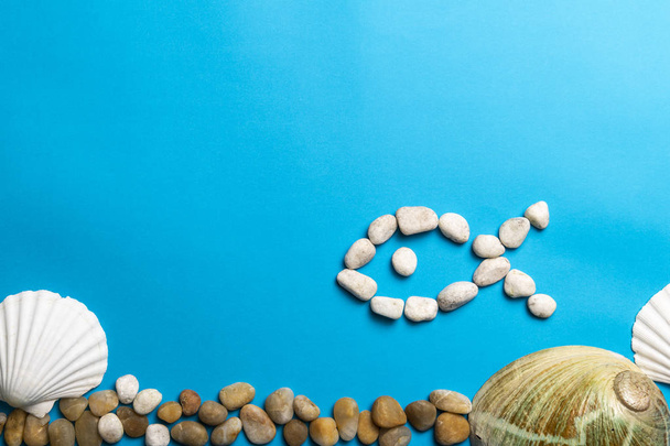 Photo rapprochée de coquillages blancs, pierres et coquillages d'ormeaux isolés sur fond bleu, espace de copie
 - Photo, image