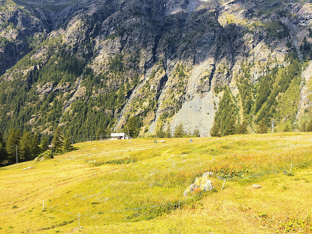 Панорамний вид на долину Грессоней влітку біля Monte Rosa - Фото, зображення