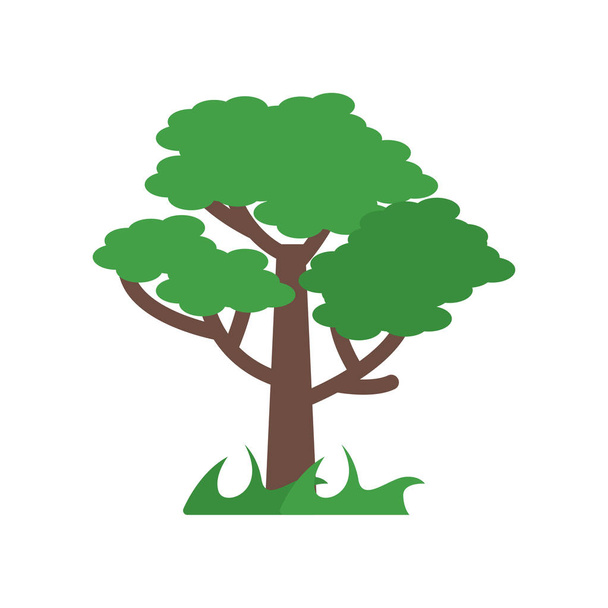 Icône de l'arbre signe vectoriel et symbole isolé sur fond blanc, T
 - Vecteur, image