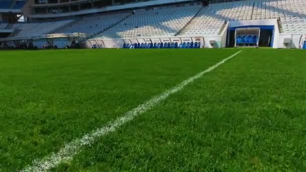 mező labdarúgó stadion gyep - Felvétel, videó