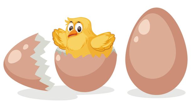 ひよこ孵化卵イラスト - ベクター画像