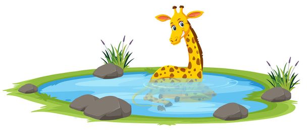 Giraffa che gioca nello stagno illustrazione
 - Vettoriali, immagini
