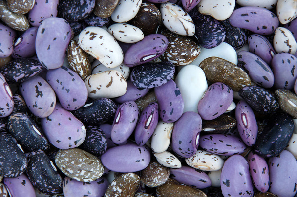 De textuur gevormd door veelkleurige droge phaseolus (bean, wild bean) als een natuurlijke achtergrond - Foto, afbeelding
