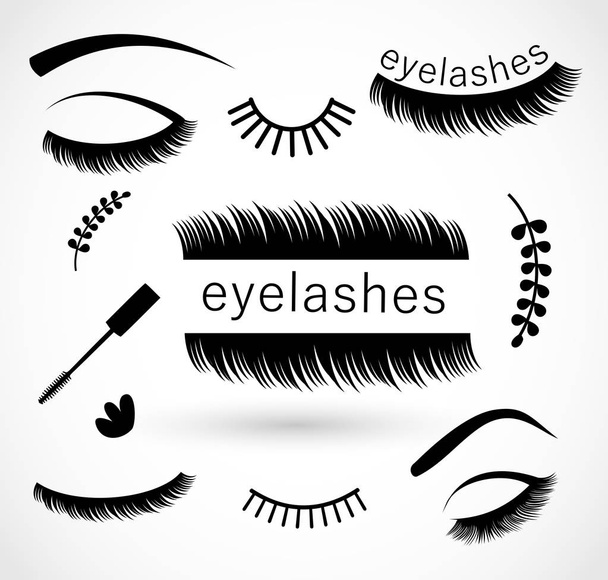 Eyelashes vector illustration, Beauty - Vector, Image