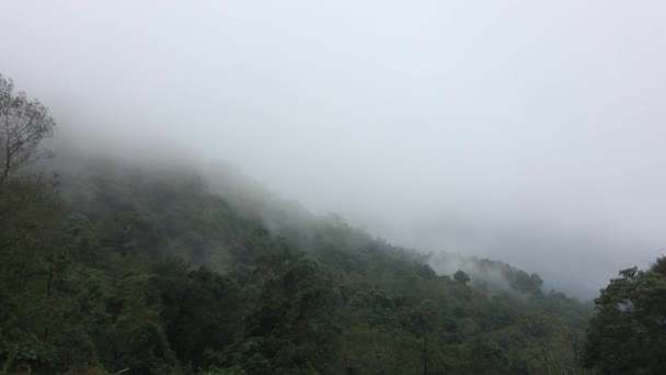 Θέα τοπίο ομίχλη στο βουνό δάσος - Πλάνα, βίντεο