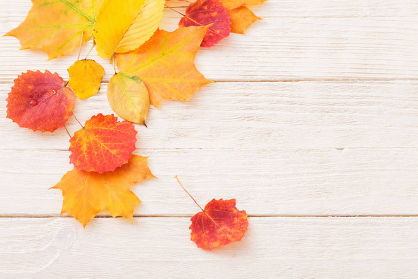 the autumn leaves on white wooden background - Foto, Bild