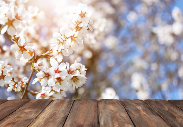 Порожній дерев'яний стіл з красивою квітучою гілкою на фоні
 - Фото, зображення