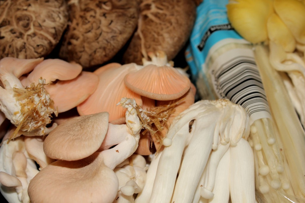 Барвисті екзотичні гриби
 - Фото, зображення