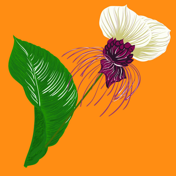Flor de murciélago de bosque tropical de verano aislada sobre fondo naranja para tela fashoin, libro de papel pintado, vector de tarjetas editable
 - Vector, imagen