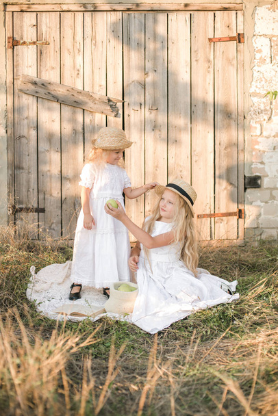 Lovely blonde girl sisters in white dresses and straw hats laugh and eat apples in the countryside in summer - Φωτογραφία, εικόνα