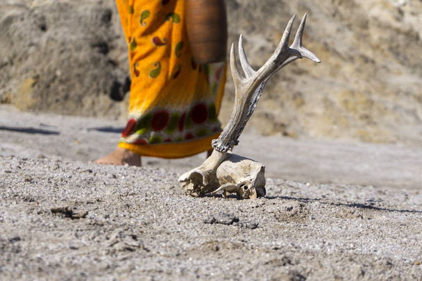 поверхня безводної пустелі з черепом тварини на передньому плані і розмита жіноча фігура в національному одязі з глеком на задньому плані
 - Фото, зображення