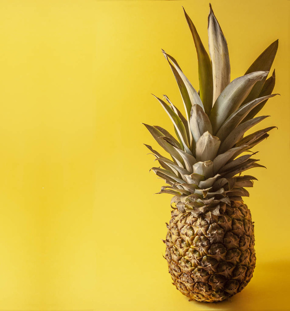 Single pineapple isolated on yellow background, Negative, space for text. - Photo, image