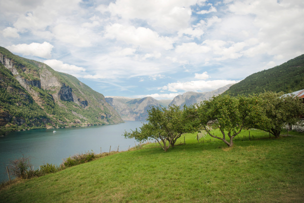 mooie groene bomen en gras op de kust van de Aurlandsfjord in de majestueuze bergen, Flam (Aurlandsfjorden), Noorwegen - Foto, afbeelding