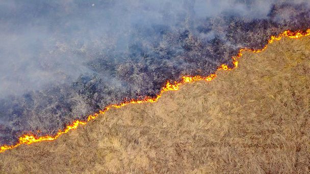 A big fire. The dry grass is burning. much smoke.  Ekaterinburg, Russia, From Dron, HEAD OVER SHOT   - Photo, Image