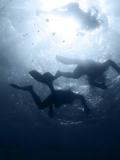 Foto van scuba duikers onder water, Eilat, Red Sea, Israel - Foto, afbeelding