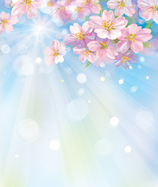Vector of spring blossoming tree with sky background - Vector, Image