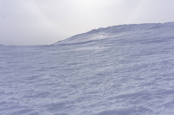 korkea arktinen aavikko peitetty kiiltävä firn taustalla synkkä pilvinen taivas
 - Valokuva, kuva