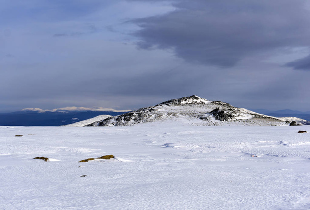 hooggelegen subarctische landschap van de Noordelijke Oeral in de buurt van Mount Konzhakovskiy Kamen - Foto, afbeelding