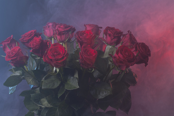 букет красных роз на красный и синий дым backgroud
 - Фото, изображение
