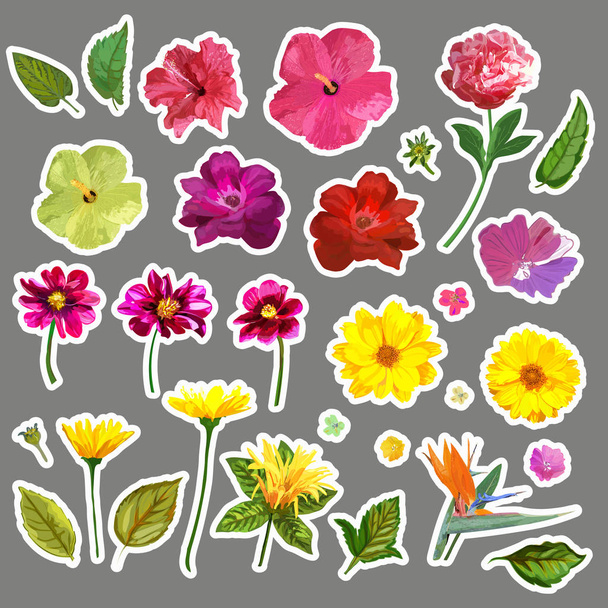 Çiçek kümesi. Yamalar koleksiyonu izole renkli el ile çizilmiş - Vektör, Görsel