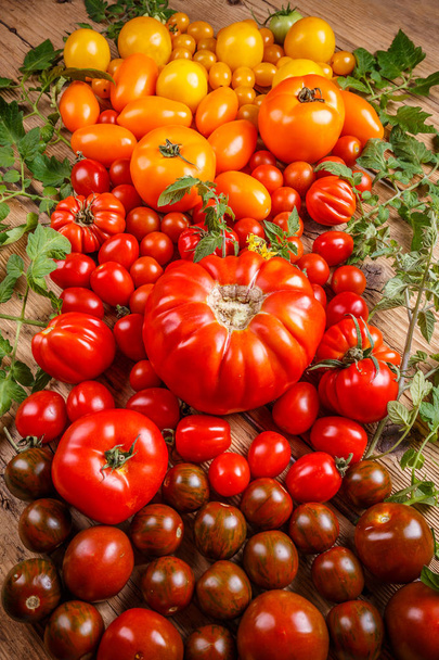 Assortment of colored fresh tomatoes - 写真・画像