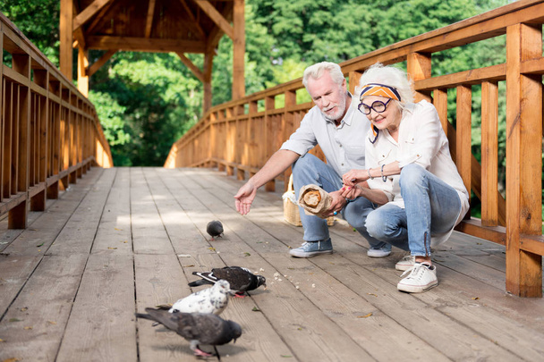 Elderly wife and husband feeling excited while feeding pigeons near lake - Foto, imagen
