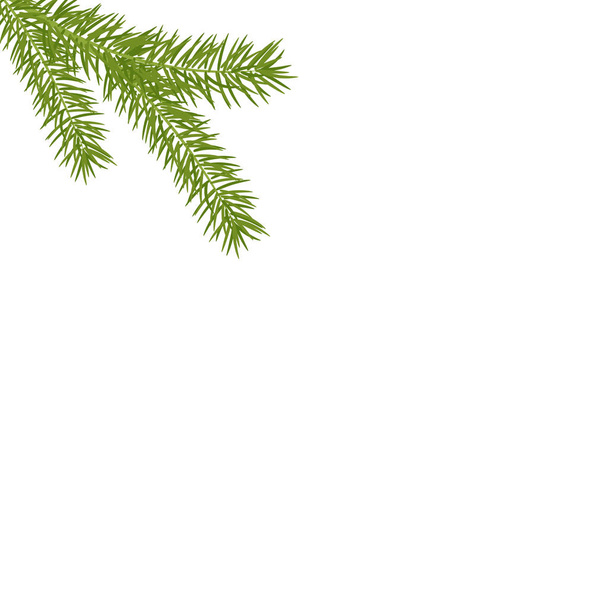 Christmas tree branches in the corner. Green fir tree branch. Realistic vector Christmas pine tree branch. - Vector, Image