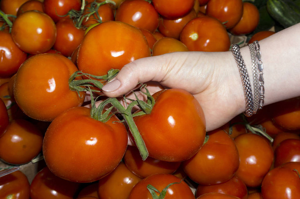 donna acquirente sceglie pomodori sul bancone, solo la sua mano è visibile
 - Foto, immagini