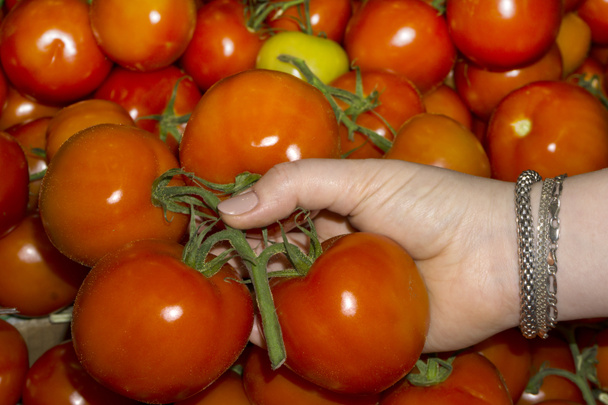 femme client sur le marché sélectionne les tomates (seule sa main est visible
) - Photo, image