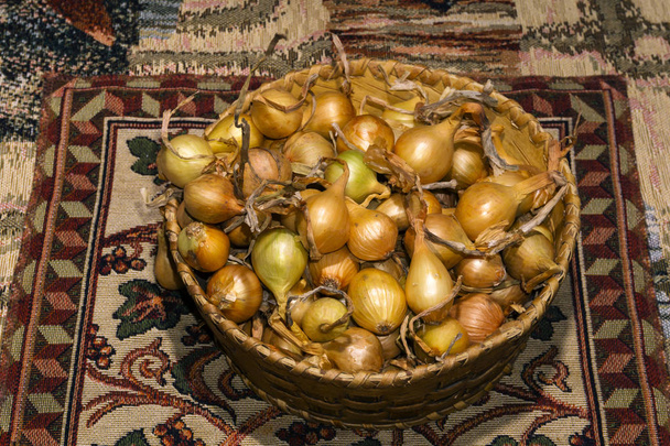 bulbs of yellow onion, intended for planting in the soil, in a small birch bark basket - Photo, Image