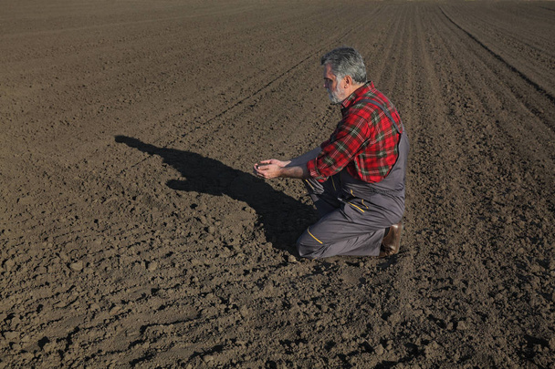 Farmer or agronomist examine quality of soil in field - Fotoğraf, Görsel