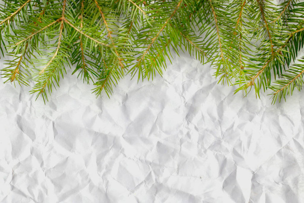 Spruce branches on white background, texture of snow. Christmas frame, you can use as the background - Foto, Imagem