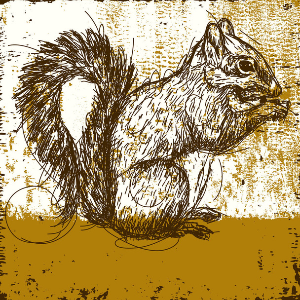 Handgezeichnetes Eichhörnchen frisst eine Nuss - Vektor, Bild