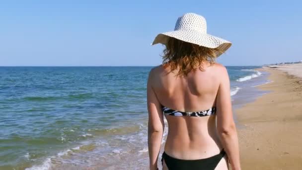 4К. Женщина в купальнике, гуляющая по морскому пляжу. Устойчивый снимок, вид сзади
 - Кадры, видео