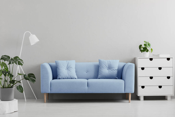 Блакитний диван між білою лампою і шафою в сірому інтер'єрі вітальні з рослинами. Справжня фотографія
 - Фото, зображення