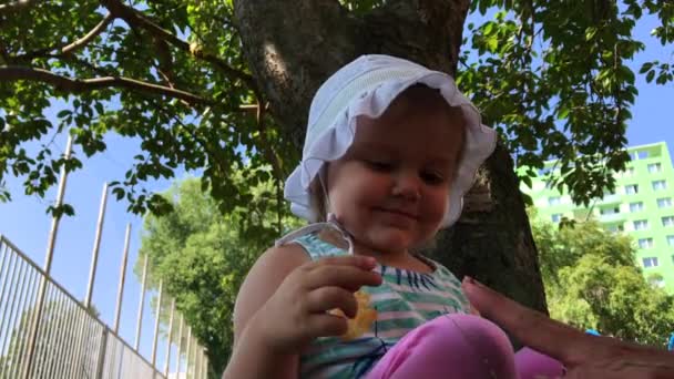 Kleines Kind, kleines Mädchen Wunder auf dem Spielplatz: Kleinkind sieht mit den Fingern roten Marienkäfer kriechen und lächelt glücklich, zeigt es jemandem an sonnigem Tag - Filmmaterial, Video