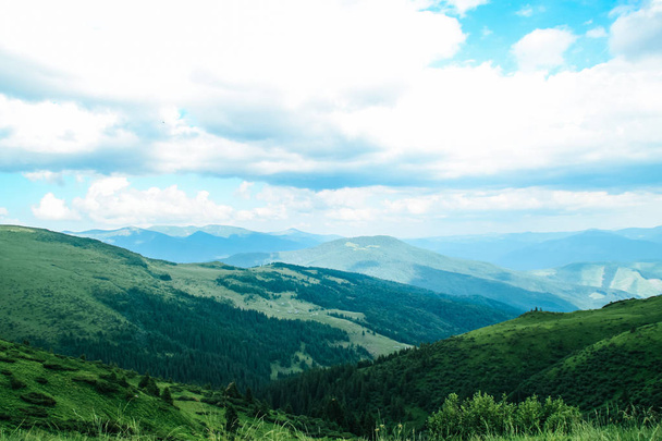 The summer green Carpathian mountains in Ukraine. The sky is over the mountains. Atmospheric landscapes while traveling on a jeep. Offroad expedition. - Foto, afbeelding