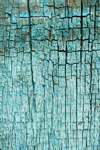 full frame of old turquoise wooden texture as backdrop - Foto, imagen