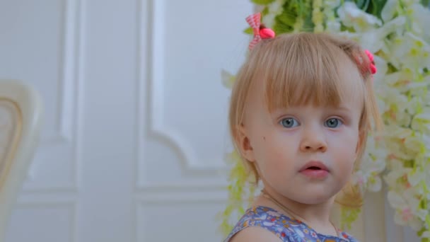 Портрет смішної маленької дівчинки вдома
 - Кадри, відео