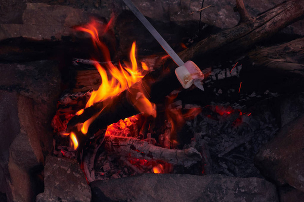 preparation of very tasty sweet dessert of marshmallow on fire of a fire during a rest on a hike in a warm summer evening in nature - Photo, image