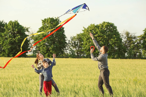 Щаслива сім'я літає повітряний змій в полі
 - Фото, зображення