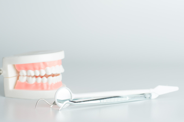 Οδοντιατρική μοντέλο με οδοντιατρικό εργαλείο στην οδοντιατρική φροντίδα έννοια. - Φωτογραφία, εικόνα