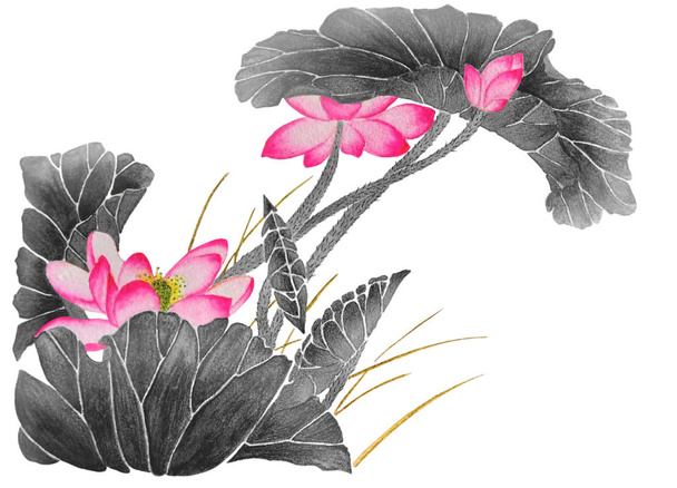 En las acuarelas hay hermosos lotos rosados florecientes. Ilustración ejecutada en estilo tradicional chino, aislada sobre fondo blanco
. - Foto, Imagen
