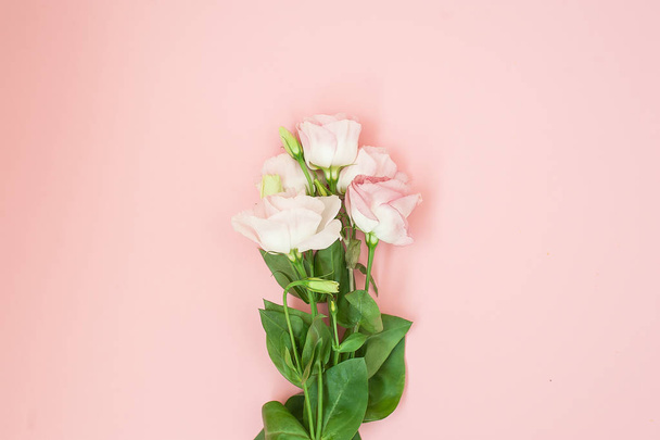 Blütenkomposition. rosa Rosenblüten auf pastellrosa Hintergrund. flache Lage, Draufsicht, Kopierraum. - Foto, Bild