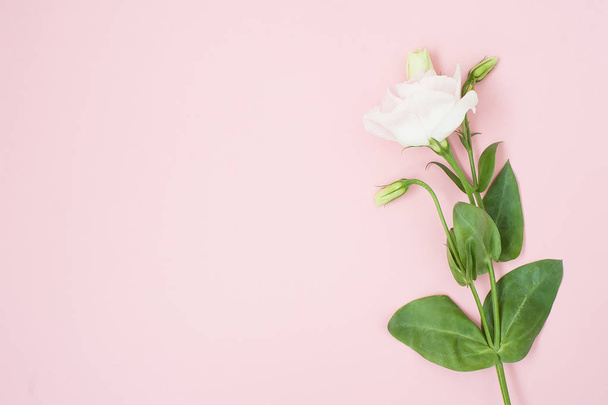 Flowers composition. Pink rose flowers on pastel pink background. Flat lay, top view, copy space. - Photo, image