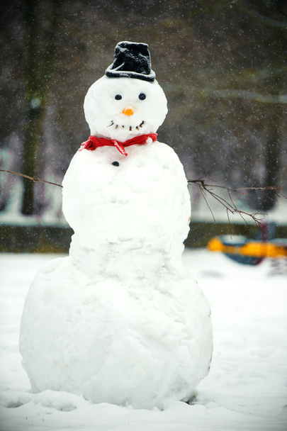Snowman - Photo, Image