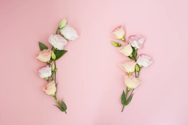 Creative layout made with pink flowers on pastel pink background. Flat lay. Top view, frame with copy space. - 写真・画像