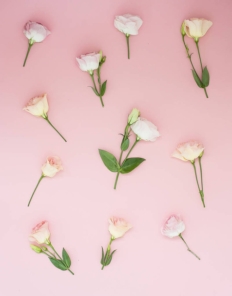 Pink flowers pattern on pastel pink background. Flat lay, top view.  - Photo, image